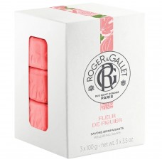 R & G Fleur De Figuier Boite Savons 3 x 100g